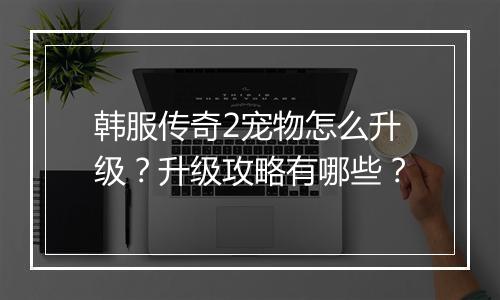 韩服传奇2宠物怎么升级？升级攻略有哪些？
