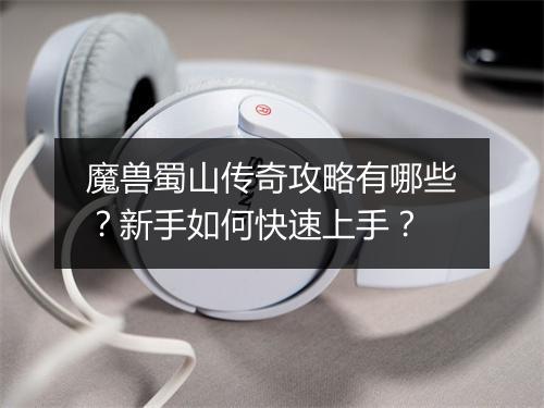 魔兽蜀山传奇攻略有哪些？新手如何快速上手？
