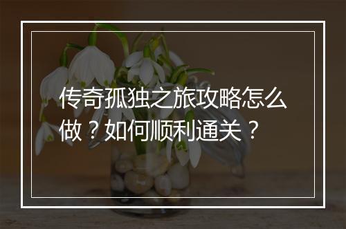 传奇孤独之旅攻略怎么做？如何顺利通关？