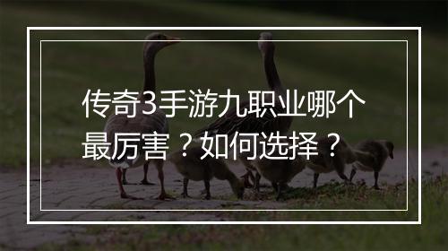 传奇3手游九职业哪个最厉害？如何选择？