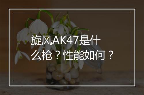 旋风AK47是什么枪？性能如何？