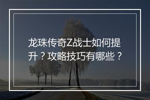 龙珠传奇Z战士如何提升？攻略技巧有哪些？