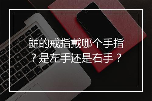鼬的戒指戴哪个手指？是左手还是右手？