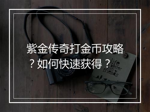 紫金传奇打金币攻略？如何快速获得？
