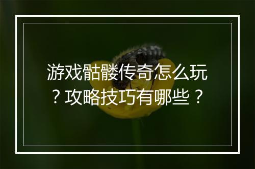 游戏骷髅传奇怎么玩？攻略技巧有哪些？