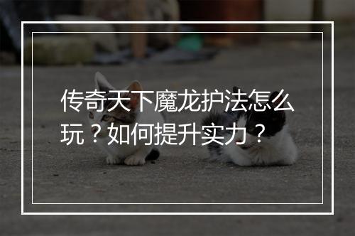 传奇天下魔龙护法怎么玩？如何提升实力？