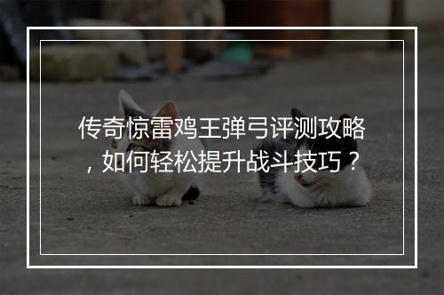 传奇惊雷鸡王弹弓评测攻略，如何轻松提升战斗技巧？