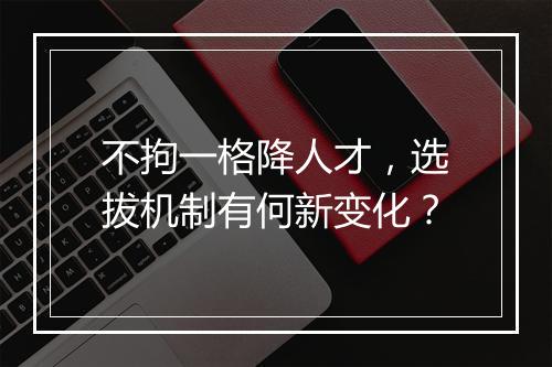 不拘一格降人才，选拔机制有何新变化？