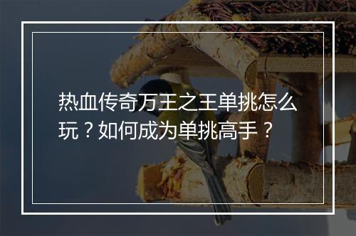 热血传奇万王之王单挑怎么玩？如何成为单挑高手？