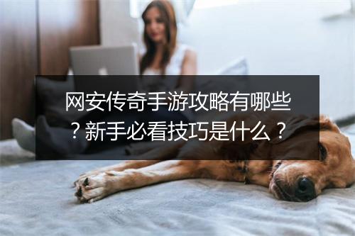 网安传奇手游攻略有哪些？新手必看技巧是什么？