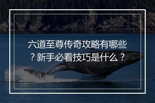 六道至尊传奇攻略有哪些？新手必看技巧是什么？