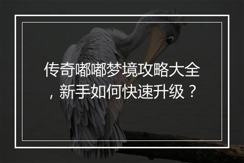 传奇嘟嘟梦境攻略大全，新手如何快速升级？