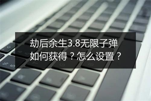 劫后余生3.8无限子弹如何获得？怎么设置？