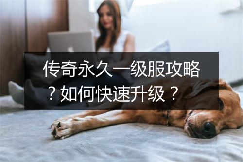 传奇永久一级服攻略？如何快速升级？
