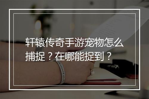 轩辕传奇手游宠物怎么捕捉？在哪能捉到？