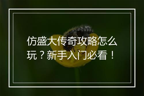 仿盛大传奇攻略怎么玩？新手入门必看！