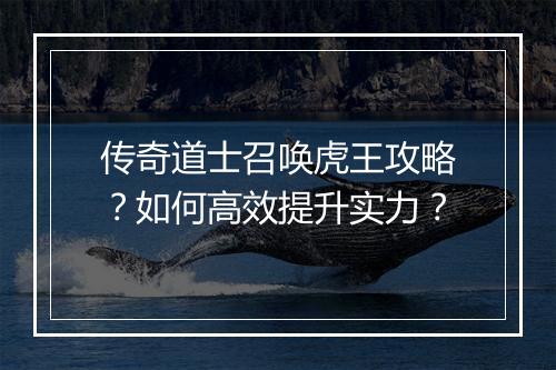 传奇道士召唤虎王攻略？如何高效提升实力？