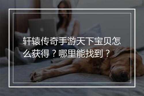 轩辕传奇手游天下宝贝怎么获得？哪里能找到？