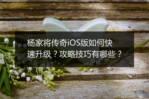 杨家将传奇iOS版如何快速升级？攻略技巧有哪些？