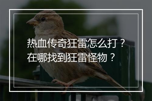 热血传奇狂雷怎么打？在哪找到狂雷怪物？