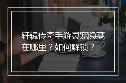 轩辕传奇手游灵宠隐藏在哪里？如何解锁？