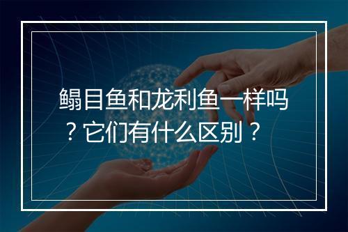鳎目鱼和龙利鱼一样吗？它们有什么区别？