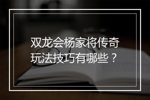 双龙会杨家将传奇玩法技巧有哪些？