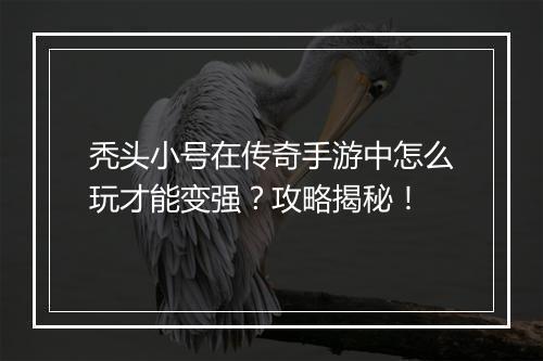 秃头小号在传奇手游中怎么玩才能变强？攻略揭秘！