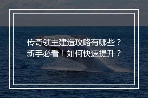 传奇领主建造攻略有哪些？新手必看！如何快速提升？