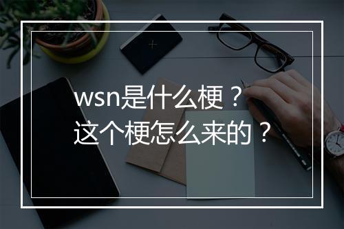 wsn是什么梗？这个梗怎么来的？