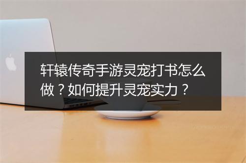 轩辕传奇手游灵宠打书怎么做？如何提升灵宠实力？