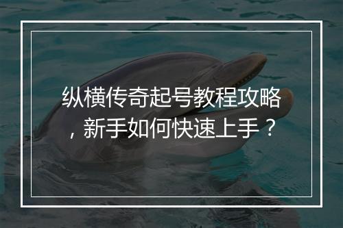 纵横传奇起号教程攻略，新手如何快速上手？
