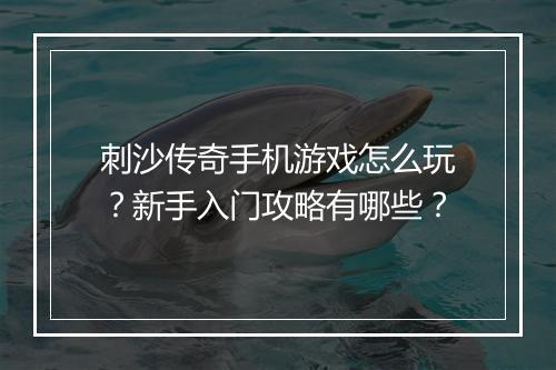 刺沙传奇手机游戏怎么玩？新手入门攻略有哪些？