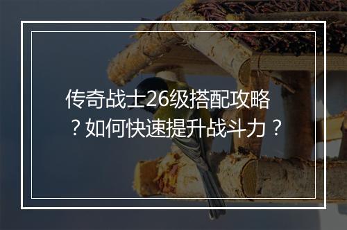 传奇战士26级搭配攻略？如何快速提升战斗力？