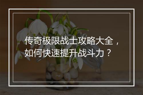 传奇极限战士攻略大全，如何快速提升战斗力？