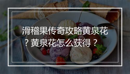滑稽果传奇攻略黄泉花？黄泉花怎么获得？