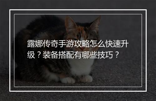 露娜传奇手游攻略怎么快速升级？装备搭配有哪些技巧？