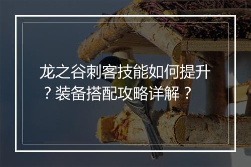 龙之谷刺客技能如何提升？装备搭配攻略详解？