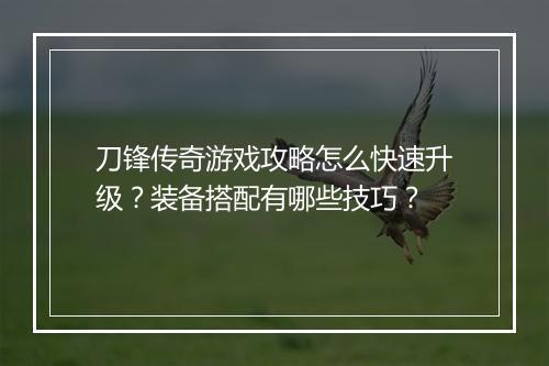 刀锋传奇游戏攻略怎么快速升级？装备搭配有哪些技巧？