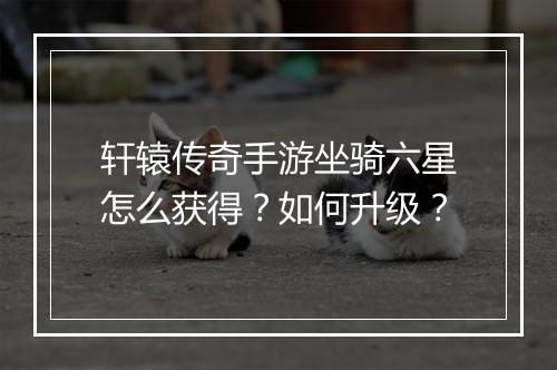 轩辕传奇手游坐骑六星怎么获得？如何升级？