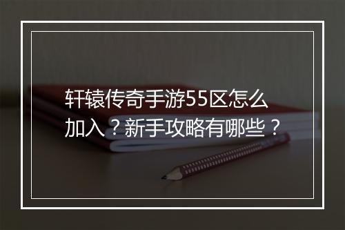 轩辕传奇手游55区怎么加入？新手攻略有哪些？
