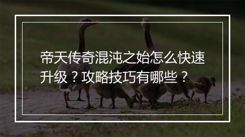 帝天传奇混沌之始怎么快速升级？攻略技巧有哪些？