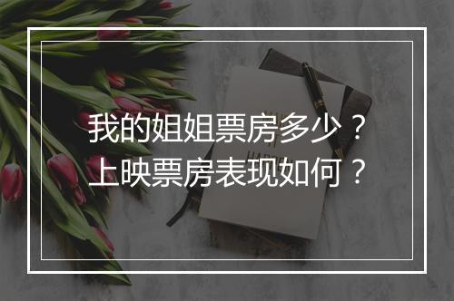 我的姐姐票房多少？上映票房表现如何？