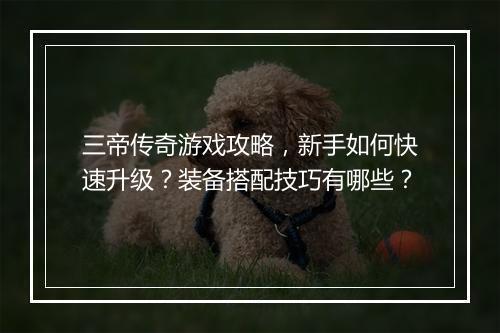 三帝传奇游戏攻略，新手如何快速升级？装备搭配技巧有哪些？