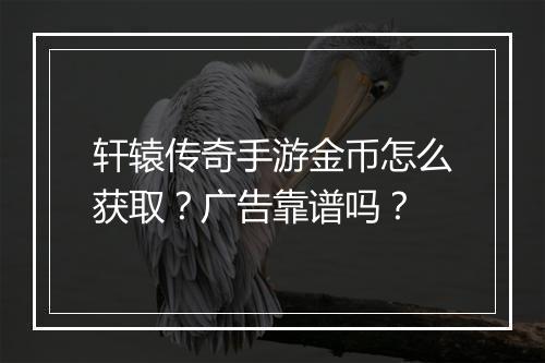轩辕传奇手游金币怎么获取？广告靠谱吗？