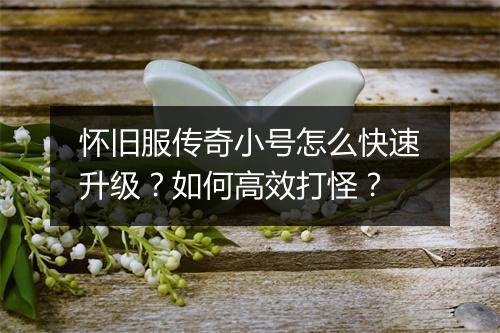 怀旧服传奇小号怎么快速升级？如何高效打怪？