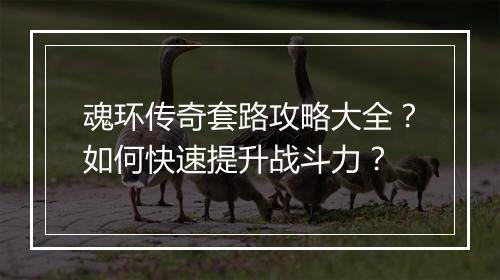 魂环传奇套路攻略大全？如何快速提升战斗力？