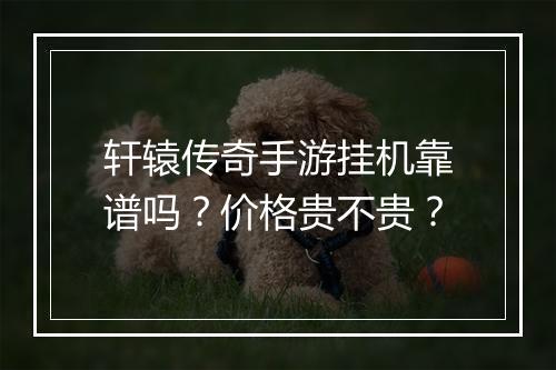 轩辕传奇手游挂机靠谱吗？价格贵不贵？