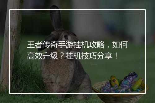 王者传奇手游挂机攻略，如何高效升级？挂机技巧分享！