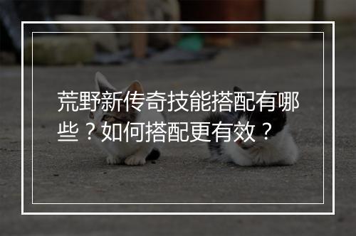 荒野新传奇技能搭配有哪些？如何搭配更有效？